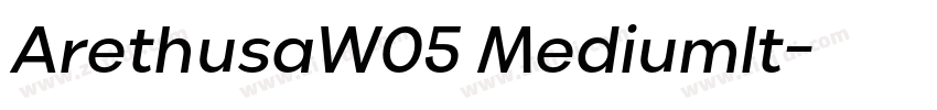 ArethusaW05 MediumIt字体转换